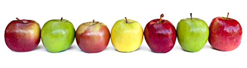 Apple Variety